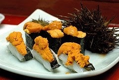 Sushi sea urchin segar.