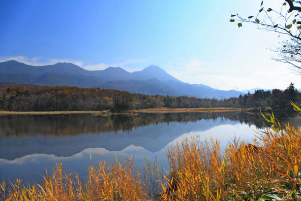 Wisata Keluarga Seru di Hokkaido